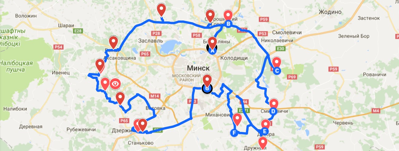Зубр длиной в 368 километров: в Беларуси впервые создали GPS рисунок в виде заповедного представителя фауны